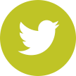 twitter icon